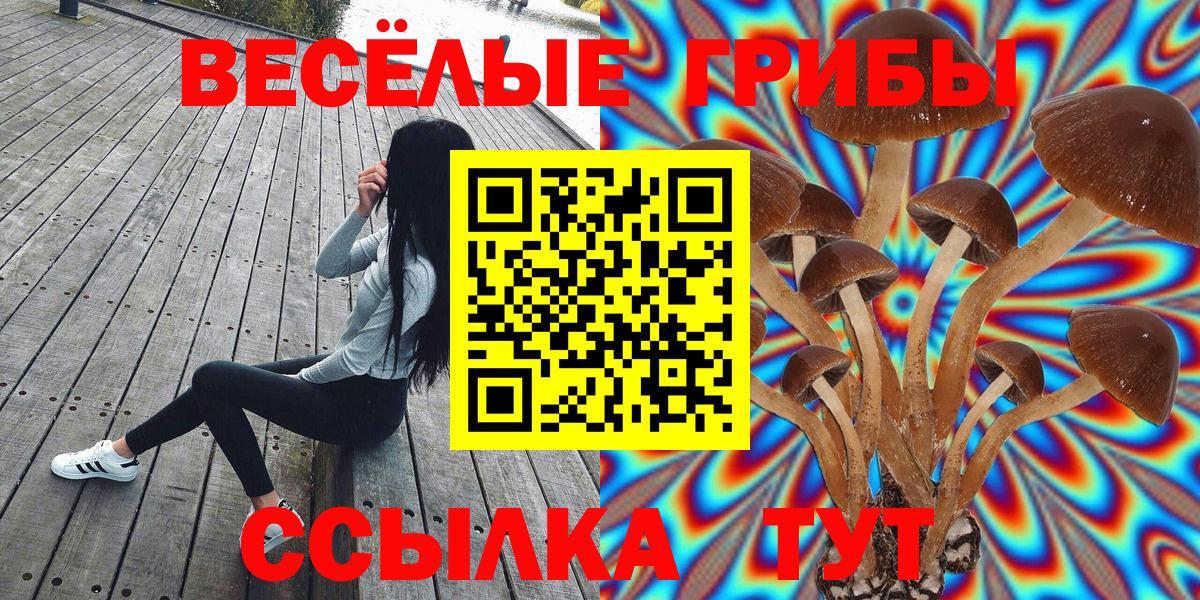 Таганрог  Галлюциногенные грибы ЛСД  Вход с VPN 